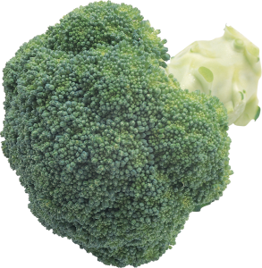 Broccoli PNG image-2830